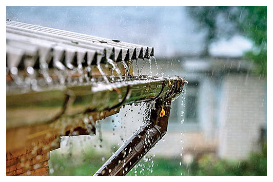 EHF Activities: Rainwater Harvesting