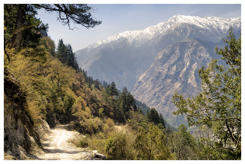 Forest land restoration and urban forestry in the Himalayas