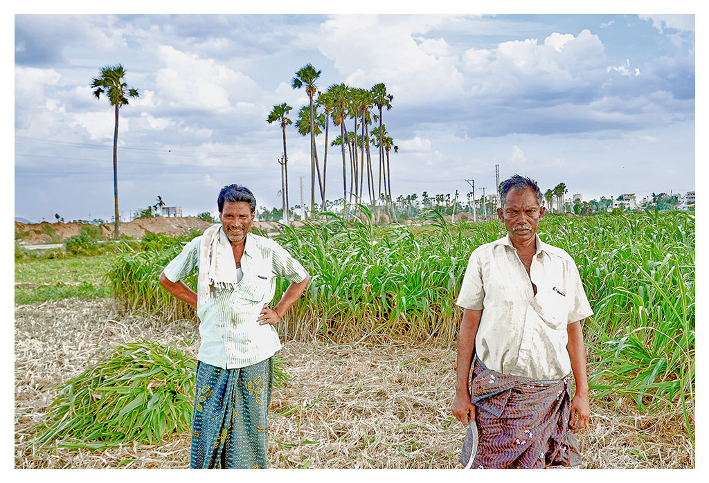 EHF creates awareness about the effects of a degraded ecology on the health and well being of resident populations.